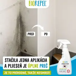 Obrázok (1)