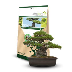 Symbiom Ectovit Bonsai 100g, mykorhíza na bonsaje