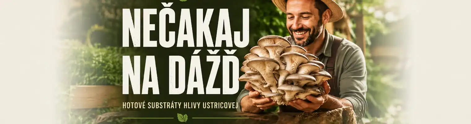 Prvotriedna sadba hlivy ustricovej vo vreci