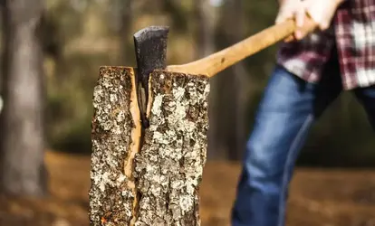 Ako vybrať štiepačku na drevo