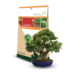 Symbiom Symbivit Bonsai, mykorhíza 150g